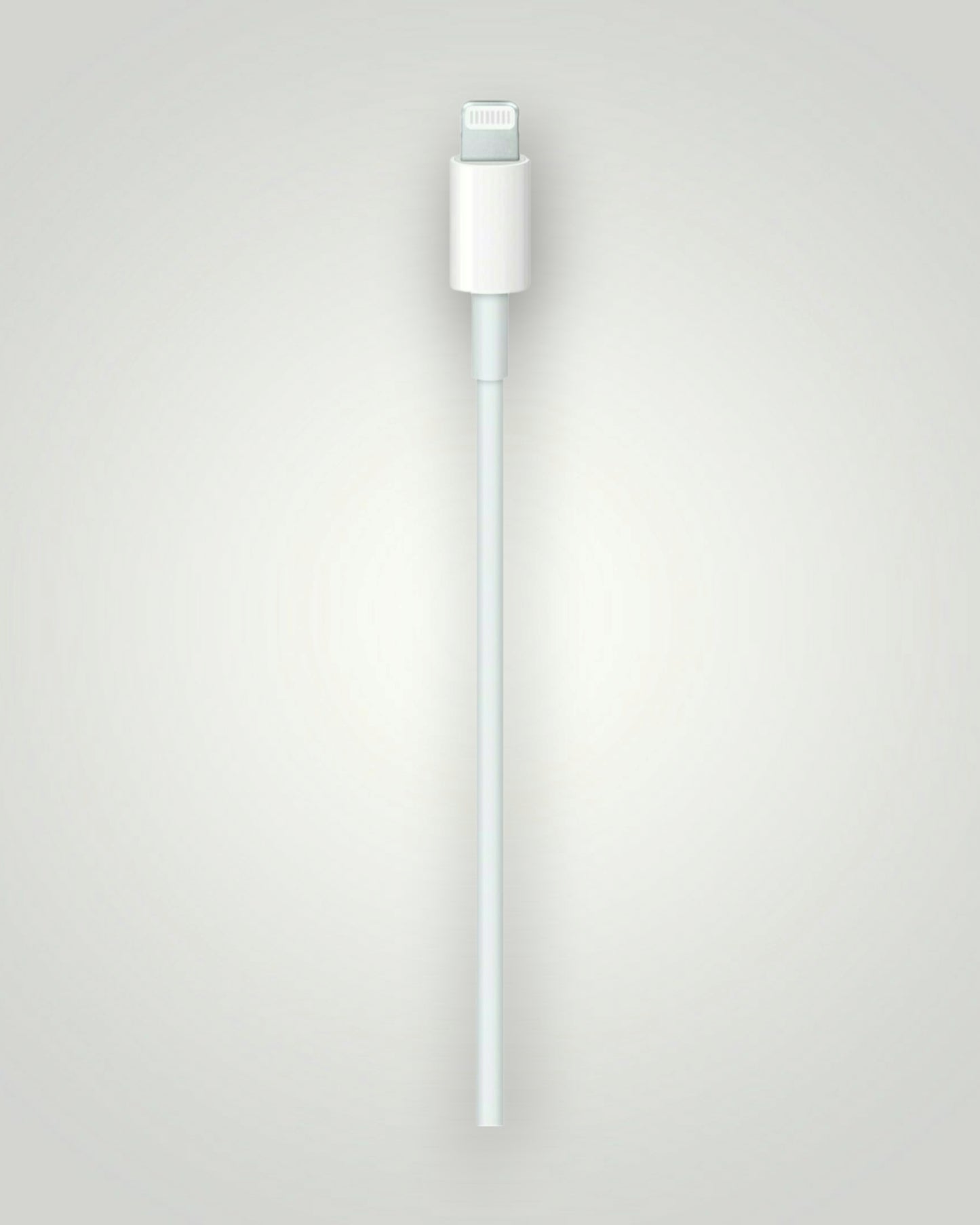 USB-C to Lightning Cable (2 m)