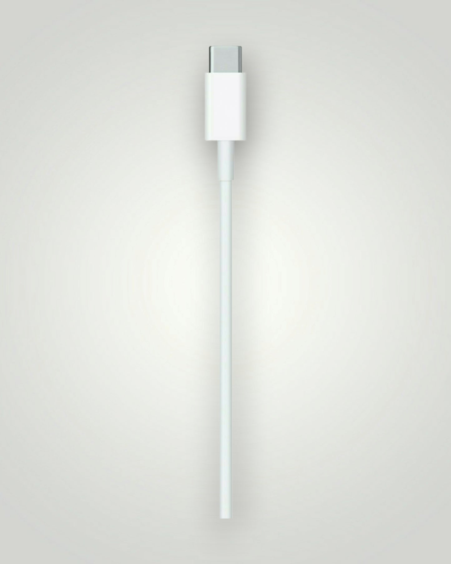 USB-C to Lightning Cable (2 m)